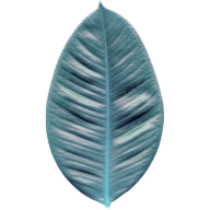 Sweepa® natural rubber feather icon – symbolizing sustainable cleaning and eco-conscious innovation.